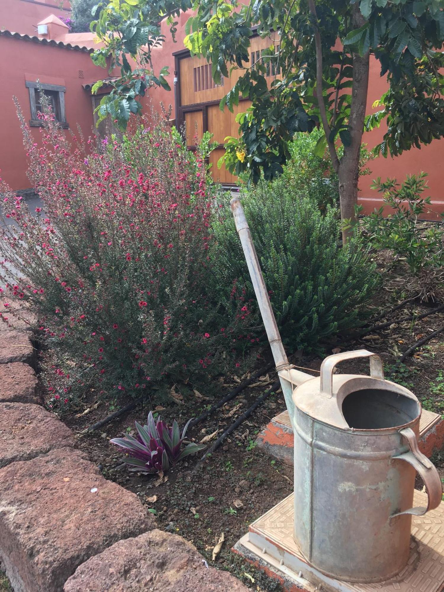 Haciendas del Valle - Las Kentias Valle de Guerra Exterior foto
